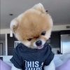 lillyreyna1214